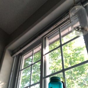 Meet your Posher, Bella